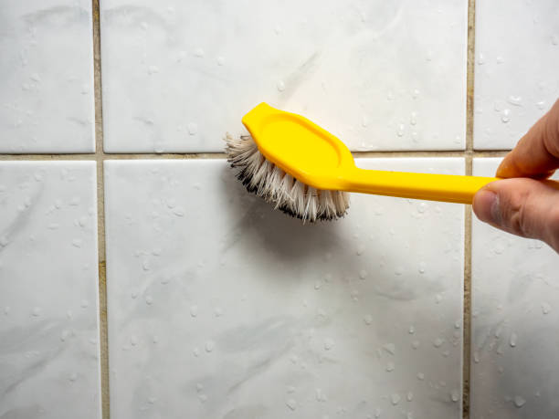  Cedar Park, TX Mold Removal Pros