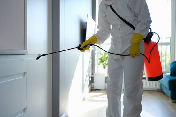 Best Commercial Mold Remediation in Cedar Park, TX
