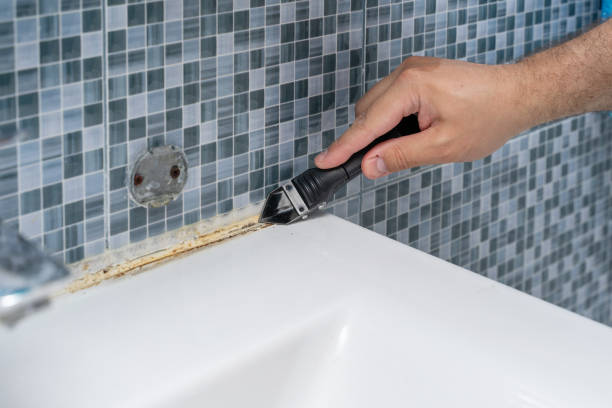 Best Bathroom Mold Remediation in Cedar Park, TX
